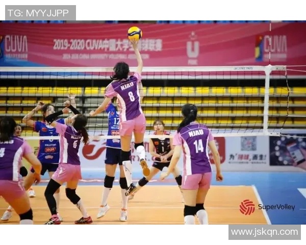 杨敏专访：从排球场到人生舞台的精彩回顾与思考